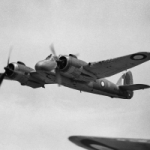 ‘Zij vielen ook voor ons’