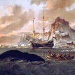 Wieringerwaard jaagt op walvissen